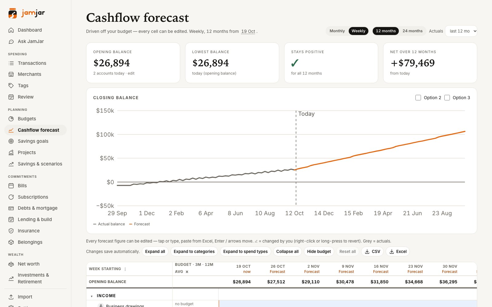 Cash flow forecast grid with budget averages and weekly forecast columns